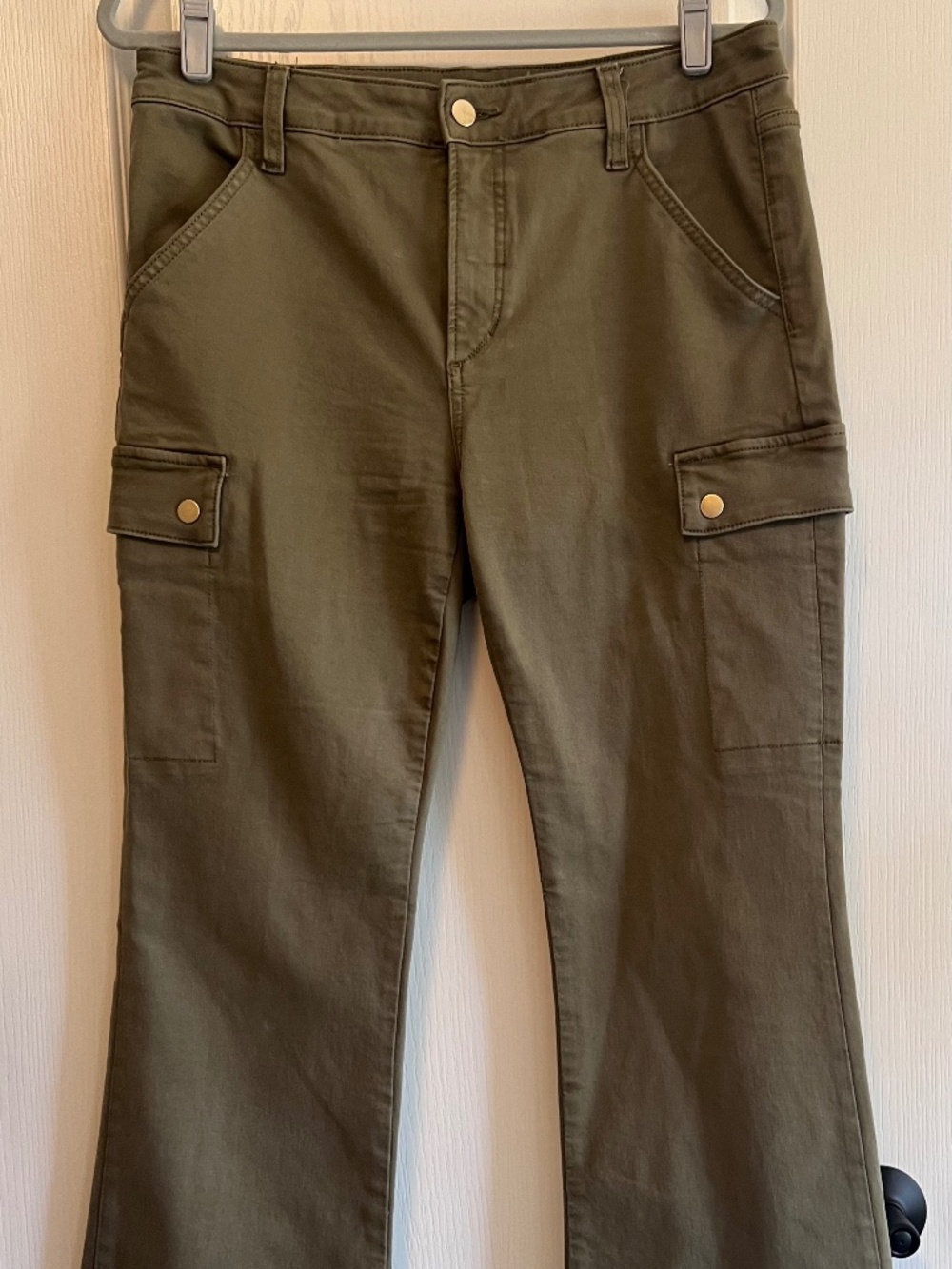 Joe's Cargo Pants / Frankie Pants in Olive
